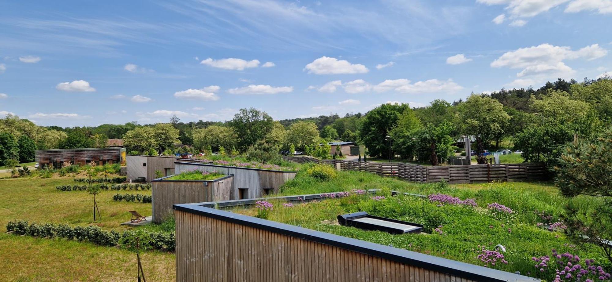 Domaine De L'Epau Eco-Resort Yvre-l'Eveque ภายนอก รูปภาพ